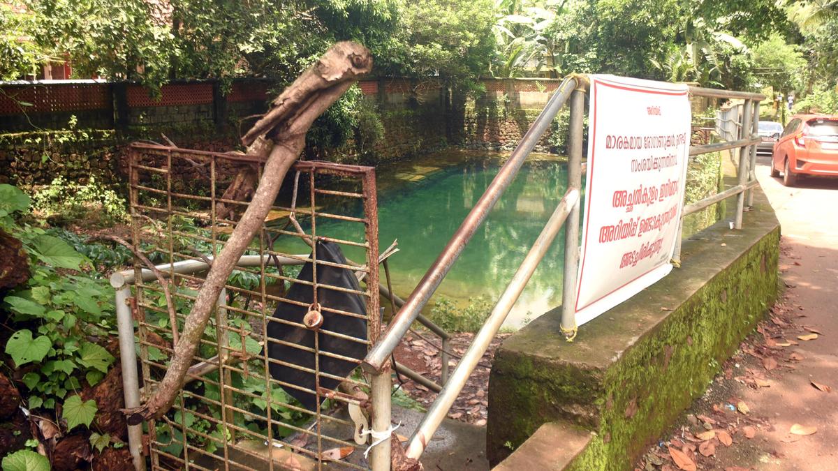Alappuzha native diagnosed with amoebic meningoencephalitis, condition stable