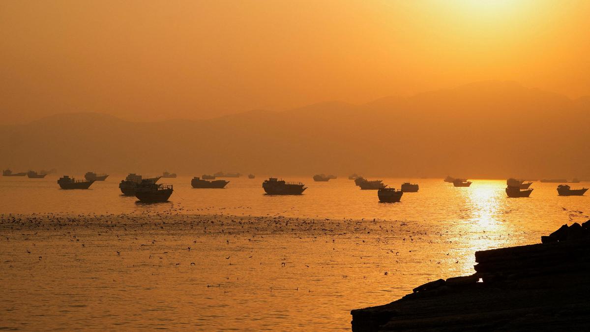 Peace deal: Cautious Indian shipowners seek govt. help