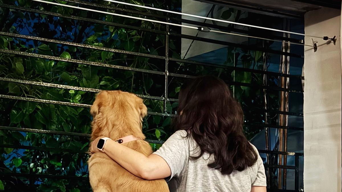 Pet wellness becomes underlying theme as industry grows steady