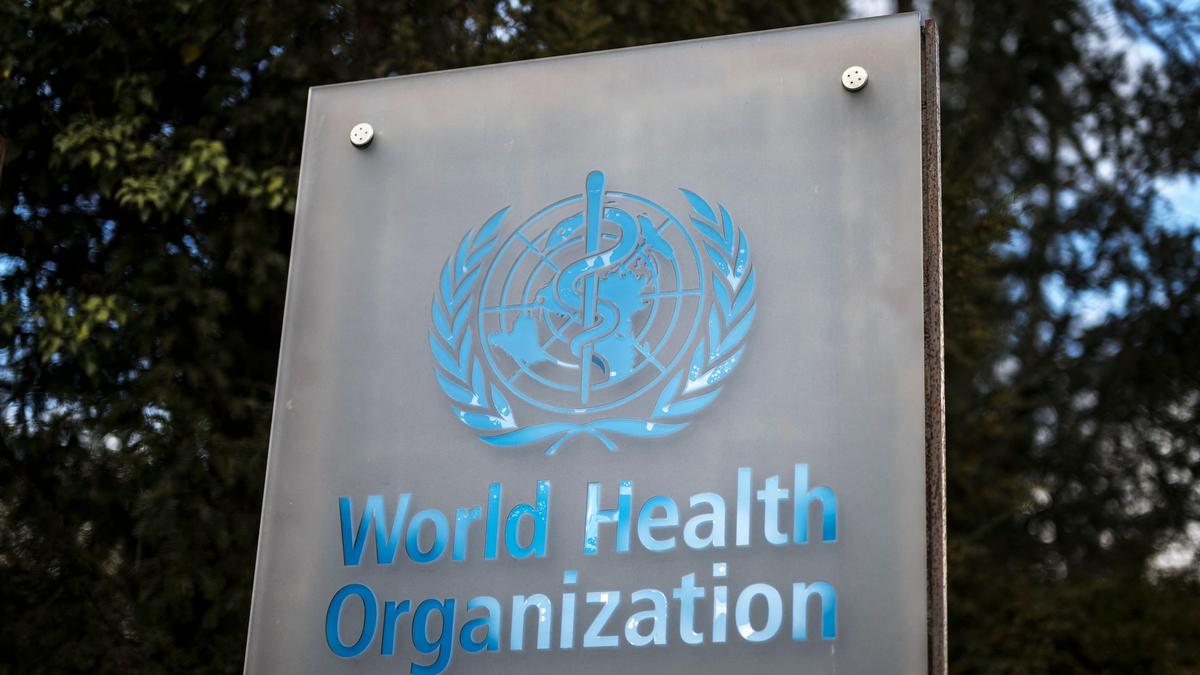 WHO warns of more hantavirus cases in 'limited' outbreak