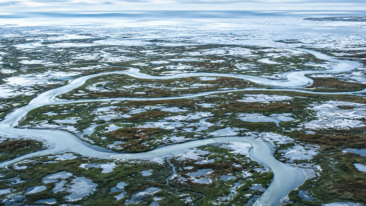 Arctic alarm: Earth's frozen carbon stores in the Arctic may stop absorbing CO2 and start releasing it by the 2050s