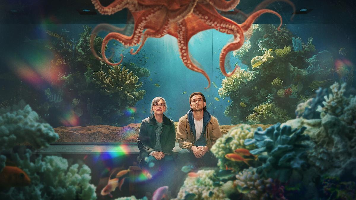 Why Sally Field is perfect for Netflix’s Remarkably Bright Creatures, according to author Shelby Van Pelt