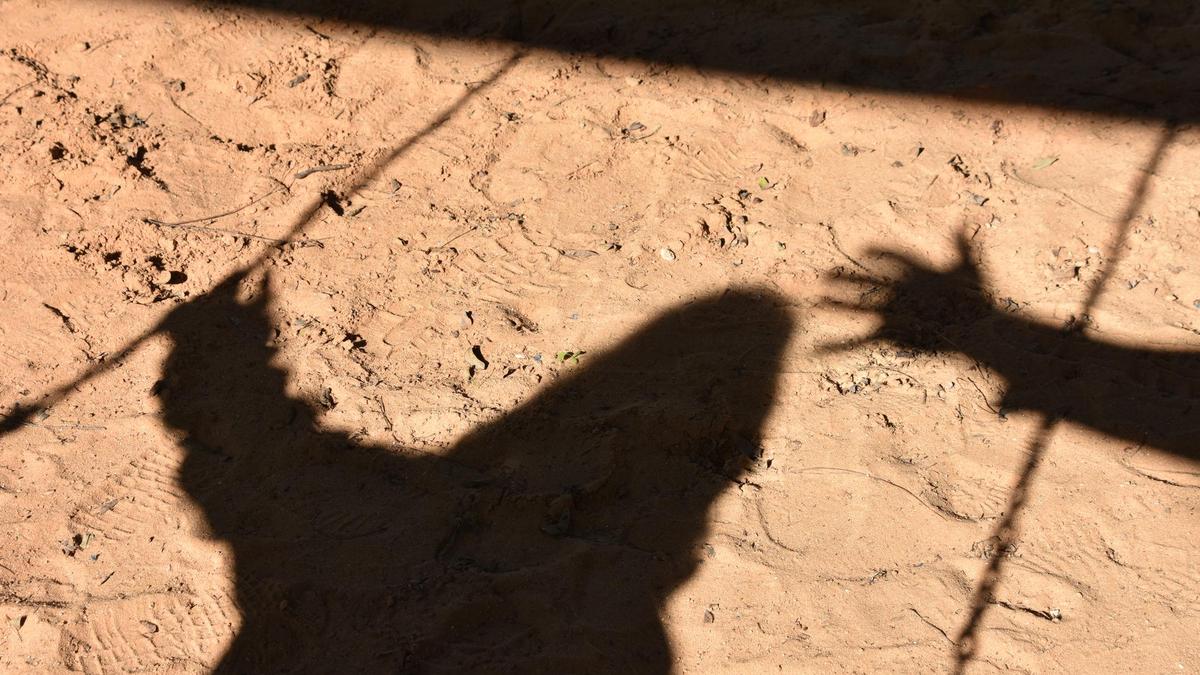 Woman alleges assault, sexual harassment by delivery agent in Bengaluru